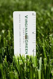 Proper Mowing Of Tall Fescue Virginia Green Lawn Care