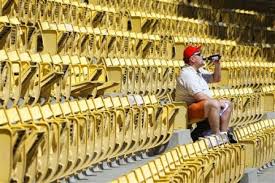 Image result for minor league baseball crowds
