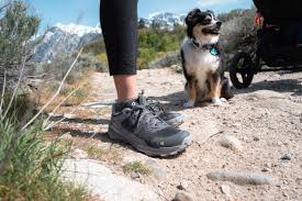 oboz katabatic hiking shoe review