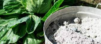 Wood Ash Can You Use It In Your Garden