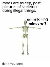 If any of these mods are illegal, please tell me so i don't get banned! Mods Are Asleep Post Pictures Of Skeletons Doing Illegal Things Uninstalling Minecraft Don T You Dare Minecraft Meme On Me Me
