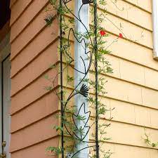 Wrought Iron Downspout Garden Trellis