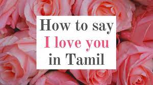 how to say i love you in tamil ந ன