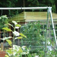 Top 10 Garden Netting Tips Harrod