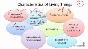 Image result for characteristics of living things