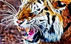 hd wallpaper tiger 3d