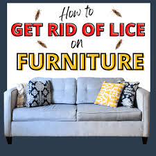 furniture to get rid of head lice