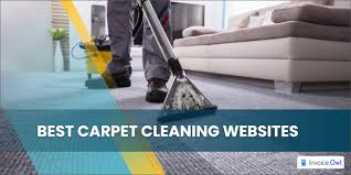 5 of the best carpet cleaning s