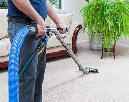 sunshine carpet cleaning company