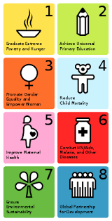 Millennium Development Goals Wikipedia