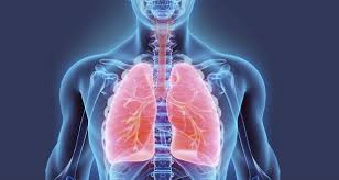 Resultado de imagem para RemÃ©dio caseiro que elimina a tosse e limpa os pulmÃµes em apenas 72 horas!