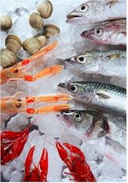 Seafood Seasons Chart Article Gourmetsleuth