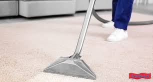 edmonton carpet cleaning