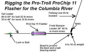 Let's see the procedure of putting weight and hook: Pro Troll Fishing Products A Guide To Flasher Rigging