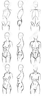Just like the bones in the body, these wire frame includes different shapes and lines and dots. Tutorial Of Drawing A Female Body Drawing The Human Body Step Stock Photo Picture And Royalty Free Image Image 147861645