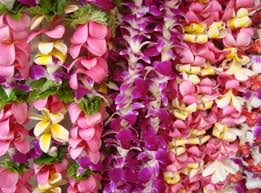 16 hawaiian s to bring home from