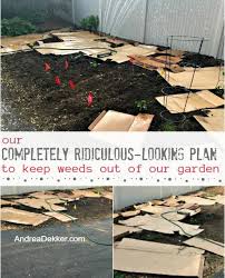 Keep Weeds Out Of Our Garden
