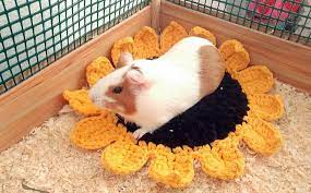 Sunflower Guinea Pig Cozy Soft Bed