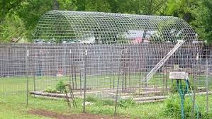 Accordions out with metal hoops sewn in for quick and easy setup. Squash Tunnel Gardening Jobe S Company Blog