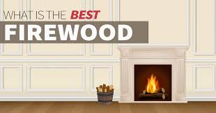 What Is The Best Firewood For Your Home