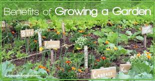 10 Reasons To Start A Garden