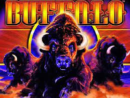 Free slots no download needed & 100,000 free coins. Buffalo Slot Machine Play Free Online Slots By Aristocrat