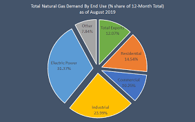 Natural Gas And The Electric Power Sector The Latest Trends