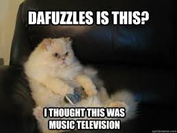 Dafuzzles is this I thought this was Music Television - Disapproving TV  Cat - quickmeme