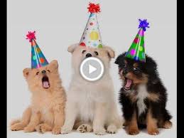 Happy birthday from the dog images sayings. Pin On Makes Me Chuckle