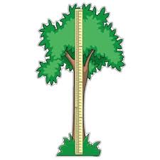 Pedia Pals Tree Height Chart