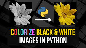 colorize black white images in python
