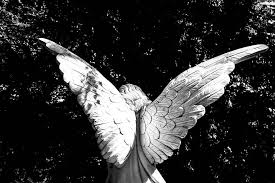 female angel statue wing angel wings