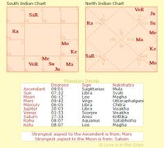 What Does My Vedic Chart Say About My Career Over The Next