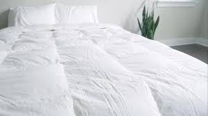 7 Best Comforters 2022 Mattress Clarity
