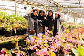Hasil pencarian jalan kebun bunga palembang. Wisata Edukasi Kampung Jambu Pandeglang Cocok Untuk Liburan Keluarga Ekbisbanten Com