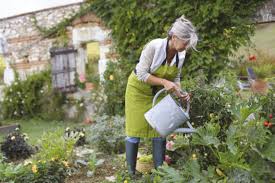 How Gardening Can Enrich Your Life