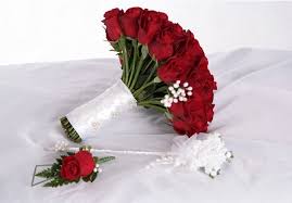 red rose flower a symbol of love and
