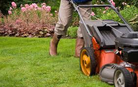 Keeping Your Lawn Looking Great With A Lawn Cutting Service