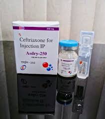 ceftriaxone injection 250 mg treatment