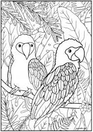 Maybe you would like to learn more about one of these? Birds Coloring Pages For Adults
