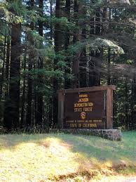 There are not currently any signs on highway 20 to mark the turnoff to this campground. Jackson Demonstration State Forest Wikipedia