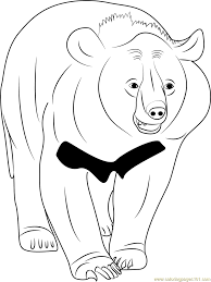 Keep your kids busy doing something fun and creative by printing out free coloring pages. Asian Black Bear Coloring Page For Kids Free Bear Printable Coloring Pages Online For Kids Coloringpages101 Com Coloring Pages For Kids