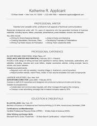 professional writer resume eymir mouldings co 