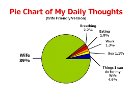 Pie Chart Of My Daily Thoughts Funny Pie Charts