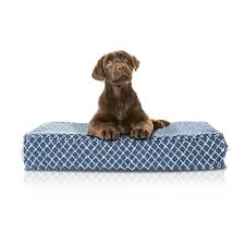 It is revolutionising how much importance we place on the there's hundreds of dog bed options available in australia. Orthopedic Memory Foam Dog Bed W Stain Repellant Livesmart Technology Eluxury
