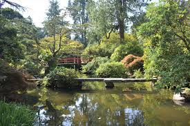 kubota garden a peaceful oasis in the