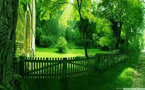 Nature Wallpapers High Resolution Green ...