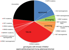 Pie Chart With Known Mutually Exclusive Genomic Events In