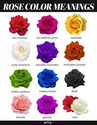 rose color meanings when to gift each