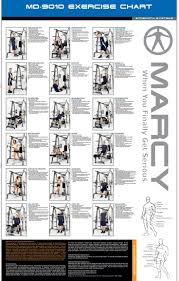 Impex Home Gym Exercise Chart Anotherhackedlife Com